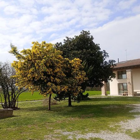 Agriturismo Trabucco Casale sul Sile Kültér fotó