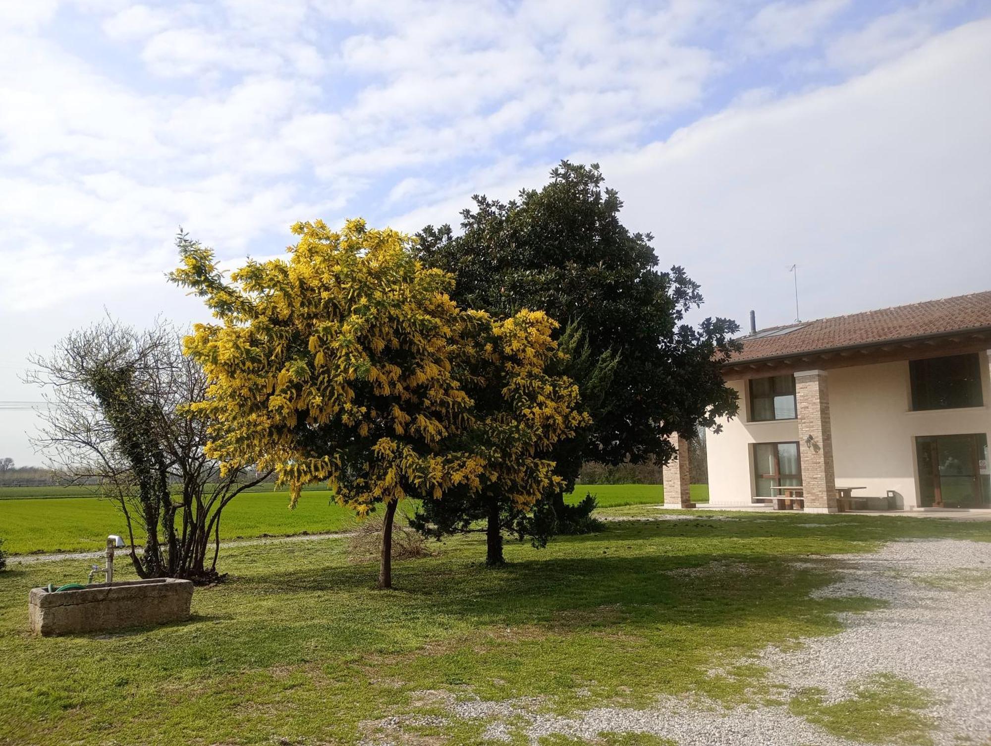Agriturismo Trabucco Casale sul Sile Kültér fotó