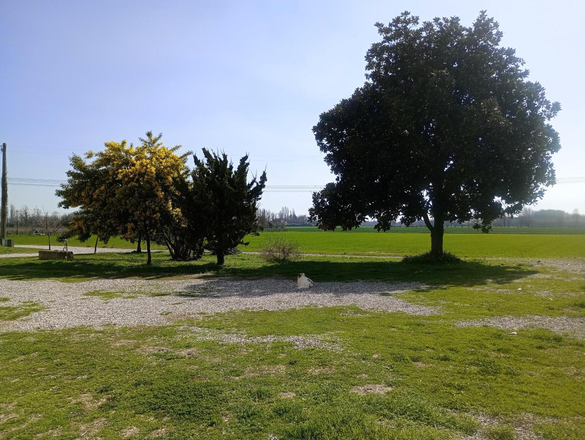Agriturismo Trabucco Casale sul Sile Kültér fotó
