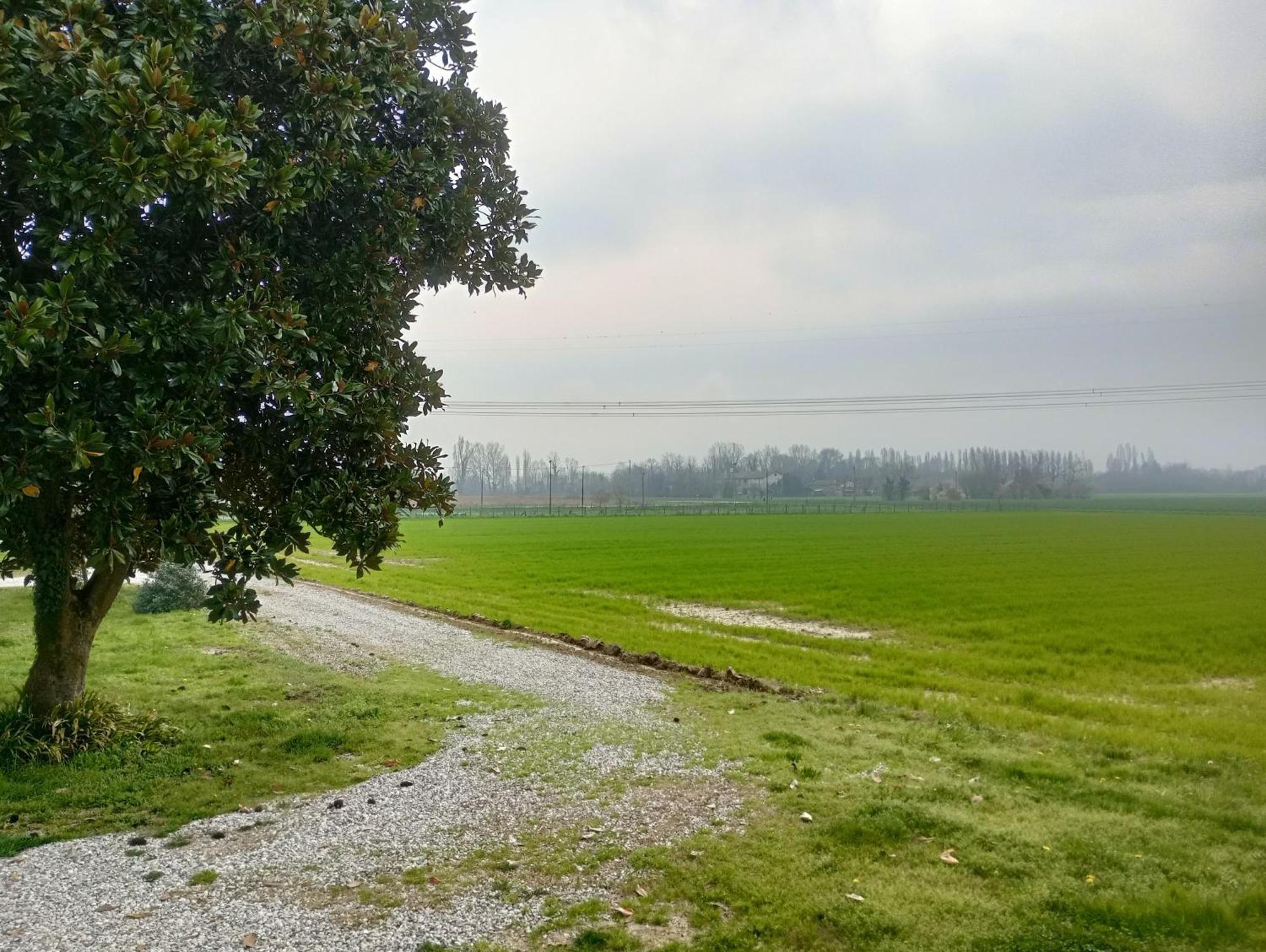 Agriturismo Trabucco Casale sul Sile Kültér fotó